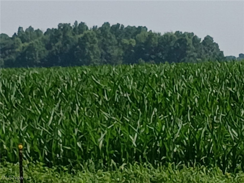 New London, Ohio, 44851, United States, 4 Bedrooms Bedrooms, ,3 BathroomsBathrooms,Residential,Active,1922737