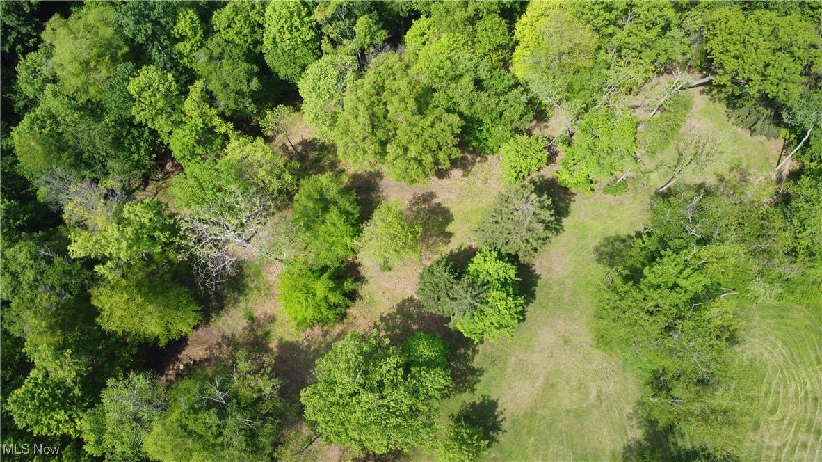 204 REICHART AVE Unit 3  