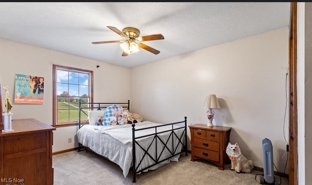 Wooster, Ohio, 44691, United States, 4 Bedrooms Bedrooms, ,4 BathroomsBathrooms,Residential,Active,1988413