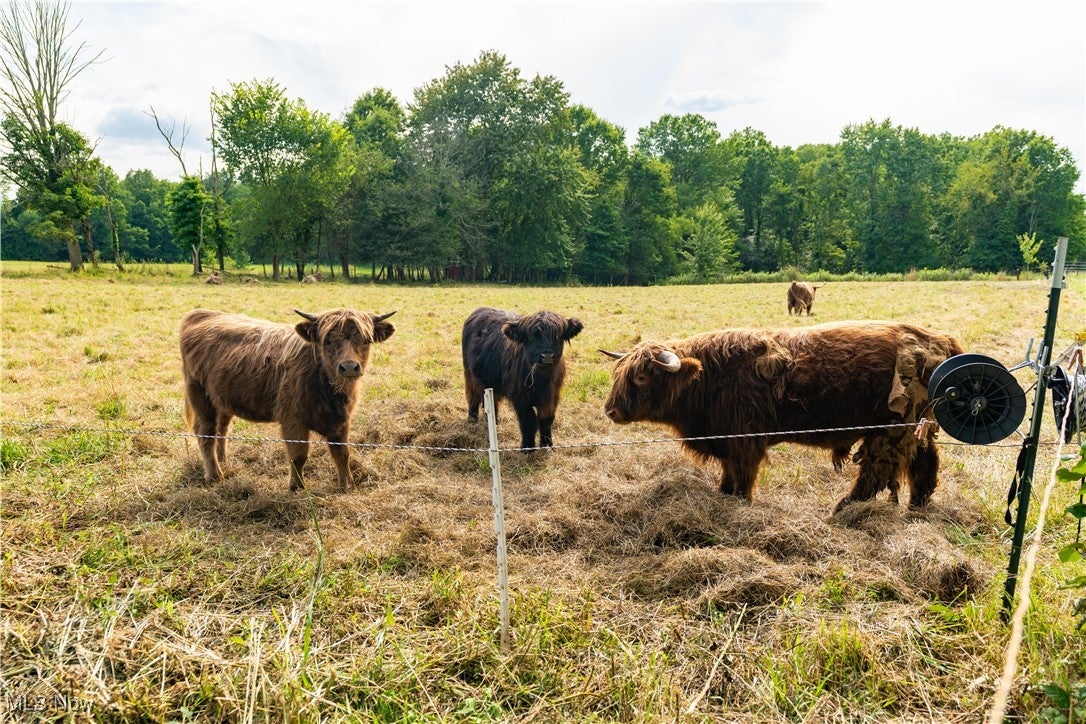Marshallville, Ohio, 44645, United States, 4 Bedrooms Bedrooms, ,4 BathroomsBathrooms,Residential,Active,1909596