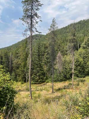 LOT 16 KANIKSU RD, CHEWELAH, WA 99109 - Image 1