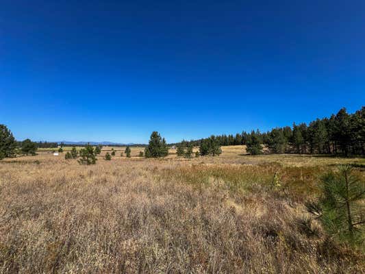 52XX LOT 2 S SWENSON RD, DEER PARK, WA 99006 - Image 1