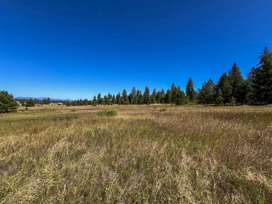 52XX LOT 4 S SWENSON RD, DEER PARK, WA 99006 - Image 1