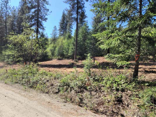 TBD COLUMBIA DR, KETTLE FALLS, WA 99141 - Image 1