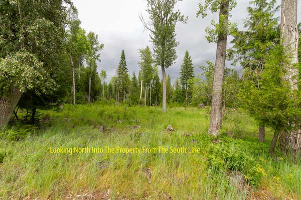 600 BLK GREENHOUSE RD, IONE, WA 99139 - Image 1