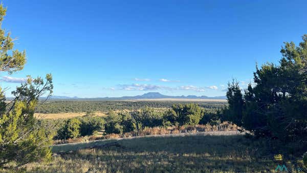 TOMAHAWK TRAIL, QUEMADO NM 87829, QUEMADO, NM 87829 - Image 1