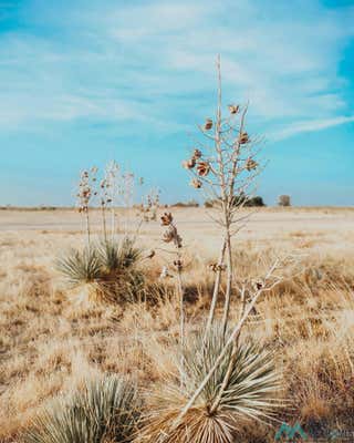 LOT 11 DESERT WILLOW ESTATES, ARTESIA, NM 88210, photo 5 of 12