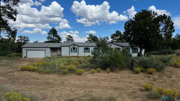 20 N RANCHERO ROAD, PIE TOWN, NM 87827 - Image 1