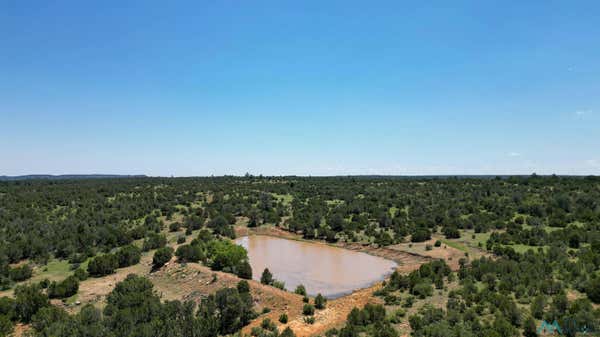 TBD CR 51 ROAD, TRUJILLO, NM 87701 - Image 1