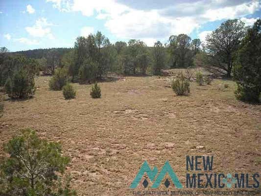 16.46+/-AC NEAR SHERIDAN, SHERIDAN, NM 87701 - Image 1