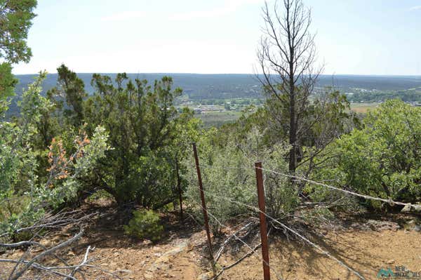 2 ACRES TBD SAVOYA ROAD, RAMAH, NM 87020 - Image 1