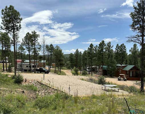 1 BLUE JAY RD, ROCIADA, NM 87742 - Image 1