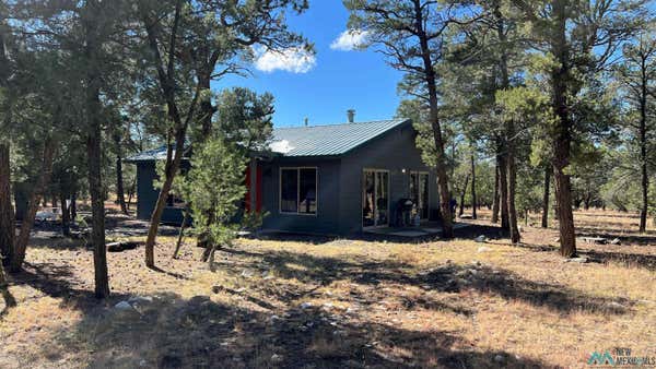 138 EL CASO RD, QUEMADO, NM 87829 - Image 1