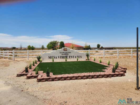 LOT 5A N TAGWOOD LANE, CARLSBAD, NM 88220, photo 3 of 12