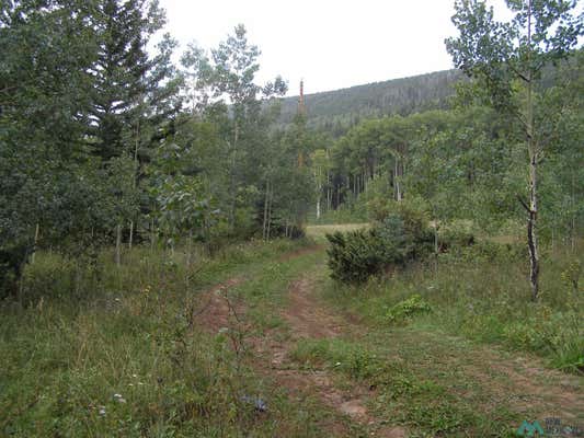 TBD STATE RD 276, ROCIADA, NM 87742 - Image 1