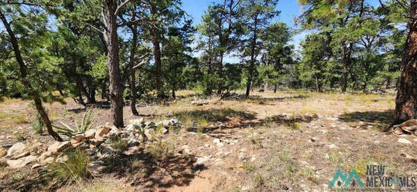 TBD CIEN FUEGOS TRAIL, GRANTS, NM 87020 - Image 1