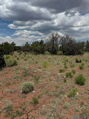 46 SEEWALD, THOREAU, NM 87323 - Image 1