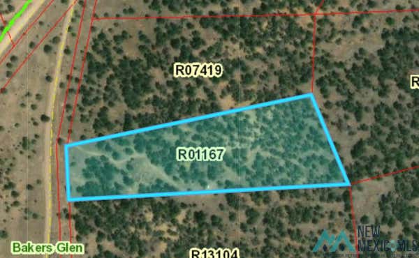 LOT 17-A GOD'S ACRE ROAD, PINEHILL, NM 87357 - Image 1