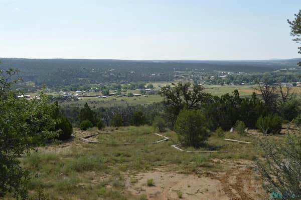 5 ACRES TBD SAVOYA ROAD, RAMAH, NM 87020 - Image 1