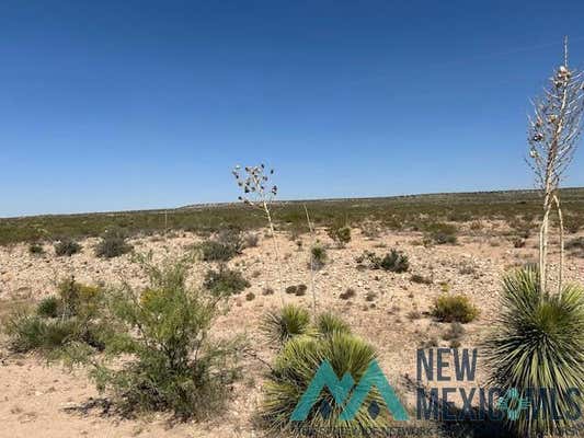 396 HAPPY VALLEY NORTH RURAL ROAD, CARLSBAD, NM 88220 - Image 1