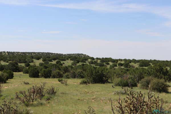 122 COUNTY ROAD B001 ROAD, MOUNTAINAIR, NM 87036 - Image 1