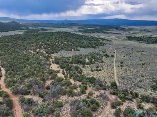 000 HIGHWAY 84, TIERRA AMARILLA, NM 87575 - Image 1