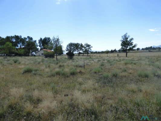 TBD #2 STEVENS STREETS, RATON, NM 87740 - Image 1