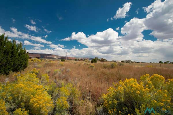 LOT 14 CALLE BONITA COURT, THOREAU, NM 87323 - Image 1