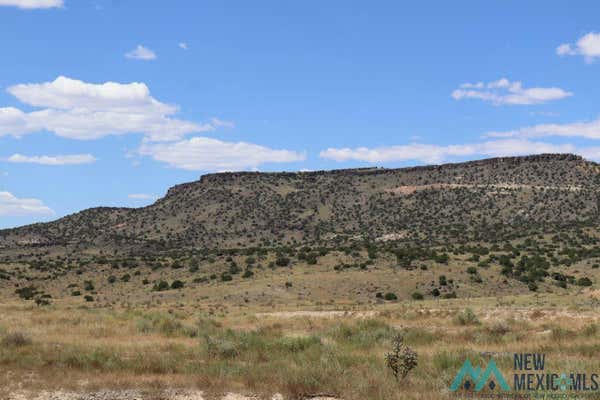 TBD LOBO CANYON ROAD, GRANTS, NM 87020 - Image 1