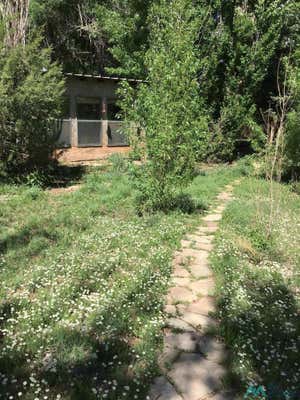 9 COUNTY ROAD B45C, ANTON CHICO, NM 87711 - Image 1