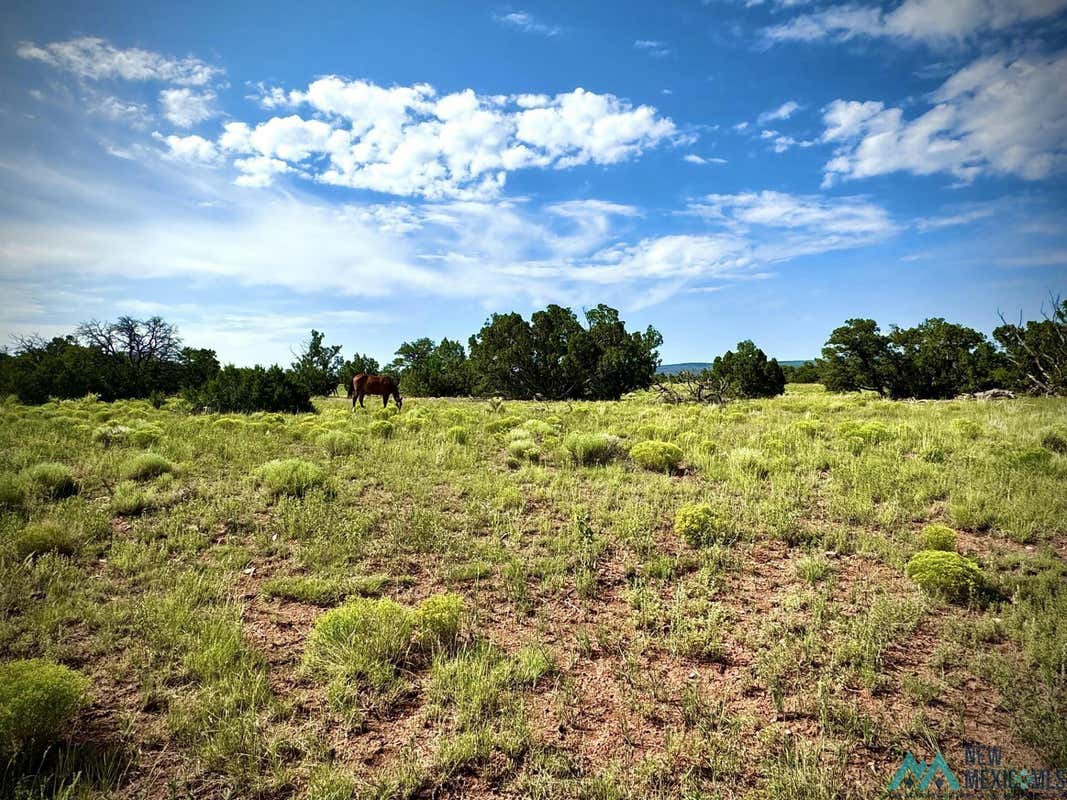 1 SEEWALD, THOREAU, NM 87323, photo 1 of 11