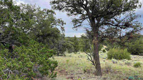 ELK PASS LOOP, PIE TOWN NM 87827, PIE TOWN, NM 87827 - Image 1