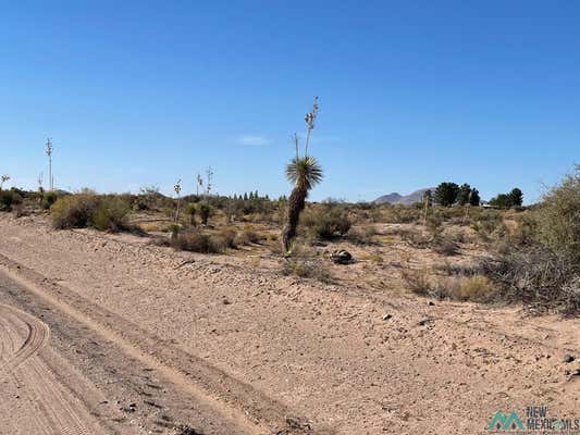 XXXX RIVERA RD SW, DEMING, NM 88030 - Image 1