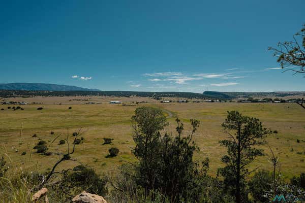 TBD 246 HIGHWAY, CAPITAN, NM 88316 - Image 1