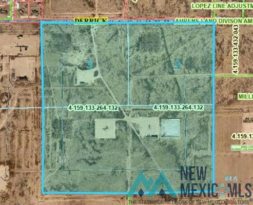 1000 E DERRICK RD, CARLSBAD, NM 88220 - Image 1