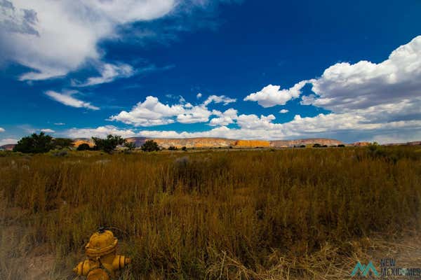 LOT 30 CALLE BONITA COURT, THOREAU, NM 87323 - Image 1