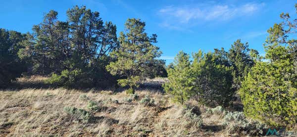 LOT 5 MISTY LANE, PINEHILL, NM 87357 - Image 1