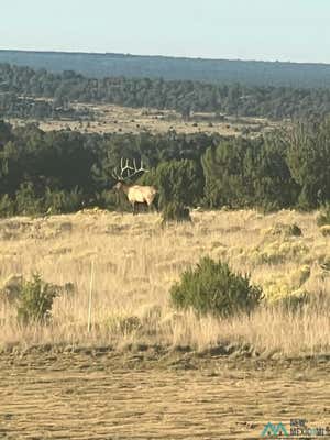 1251 YORK RANCH RD, PIE TOWN, NEW MEXICO 87827 ROADS, PIE TOWN, NM 87827 - Image 1