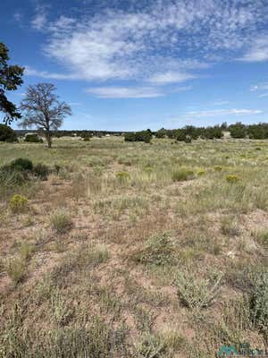 28 MAVERICK ROAD, JAMESTOWN, NM 87347 - Image 1