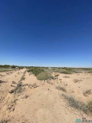 NE OF 106 AARON ROAD, ARTESIA, NM 88210 - Image 1