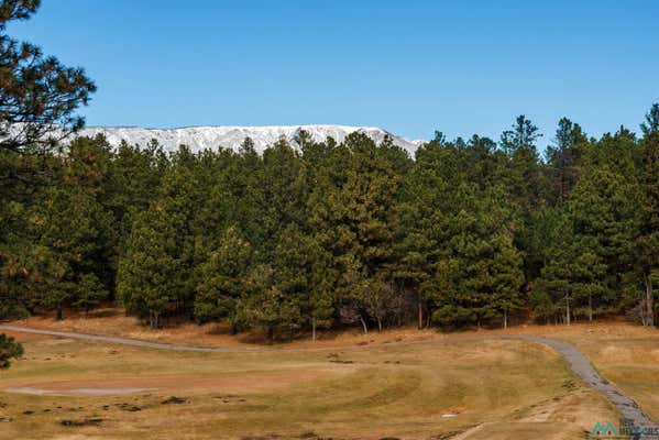 LOT 44 AVENIDA SECURIDAD AVENUE, ROCIADA, NM 87742, photo 2 of 6