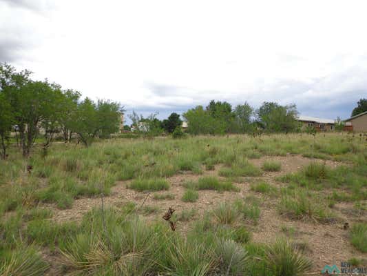 OFF RIDGE RUNNER ROAD, LAS VEGAS, NM 87701 - Image 1