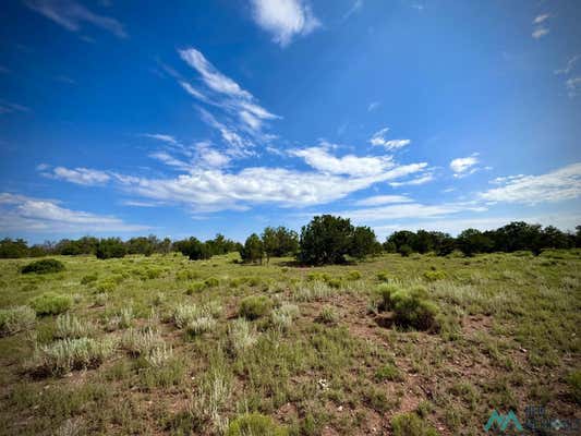 2 SEEWALD, THOREAU, NM 87323 - Image 1