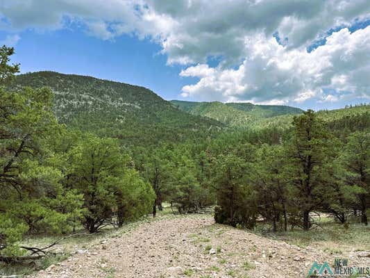 ELK HAVEN FOREST ROAD 234, MAGDALENA, NM 87825 - Image 1