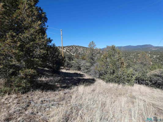 9-1 TRACT NIZHONI LOOP, SILVER CITY, NM 88061 - Image 1