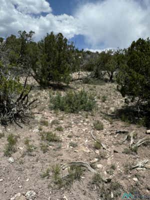 23 SEEWALD, THOREAU, NM 87323 - Image 1