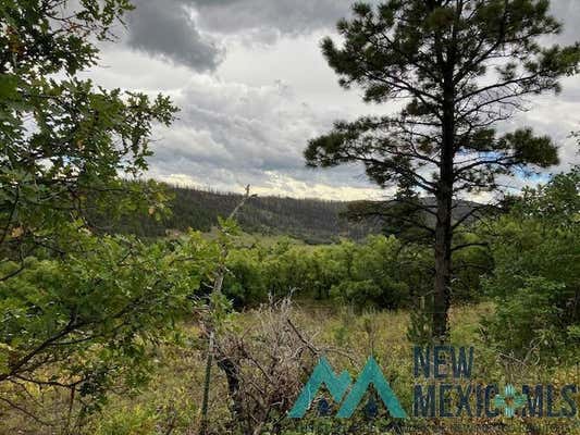 TRACT 1 LA SIERRA ROAD, HOLMAN, NM 87723 - Image 1