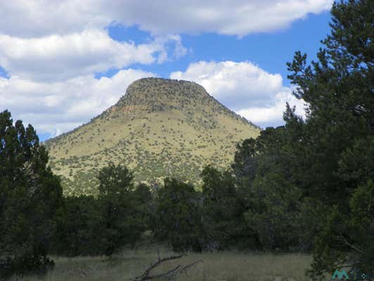 85 NORTHERN TRL, DATIL, NM 87821 - Image 1