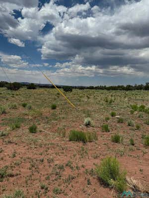 1 SEEWALD, THOREAU, NM 87323, photo 5 of 11