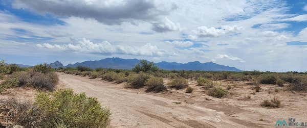 00 COYOTE RD SW ROAD, DEMING, NM 88030 - Image 1